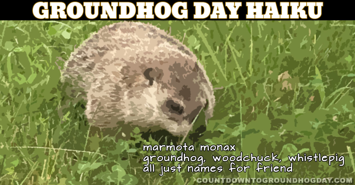 Groundhog Day Haiku #1